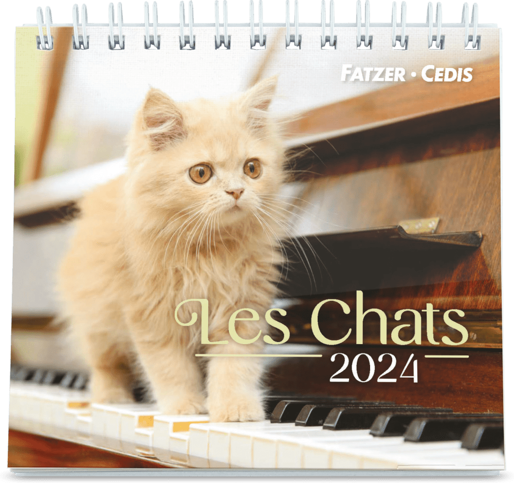 CAL CED NOS AMIS LES CHATS