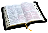 BIBLE SEGOND 1910 SIMILICUIR NOIR TRANCHE OR ZIP PAROLE DE JESUS EN ROUGE