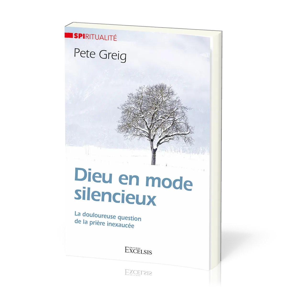 DIEU EN MODE SILENCIEUX - LA DOULOUREUSE QUESTION DE LA PRIERE INEXAUCEE