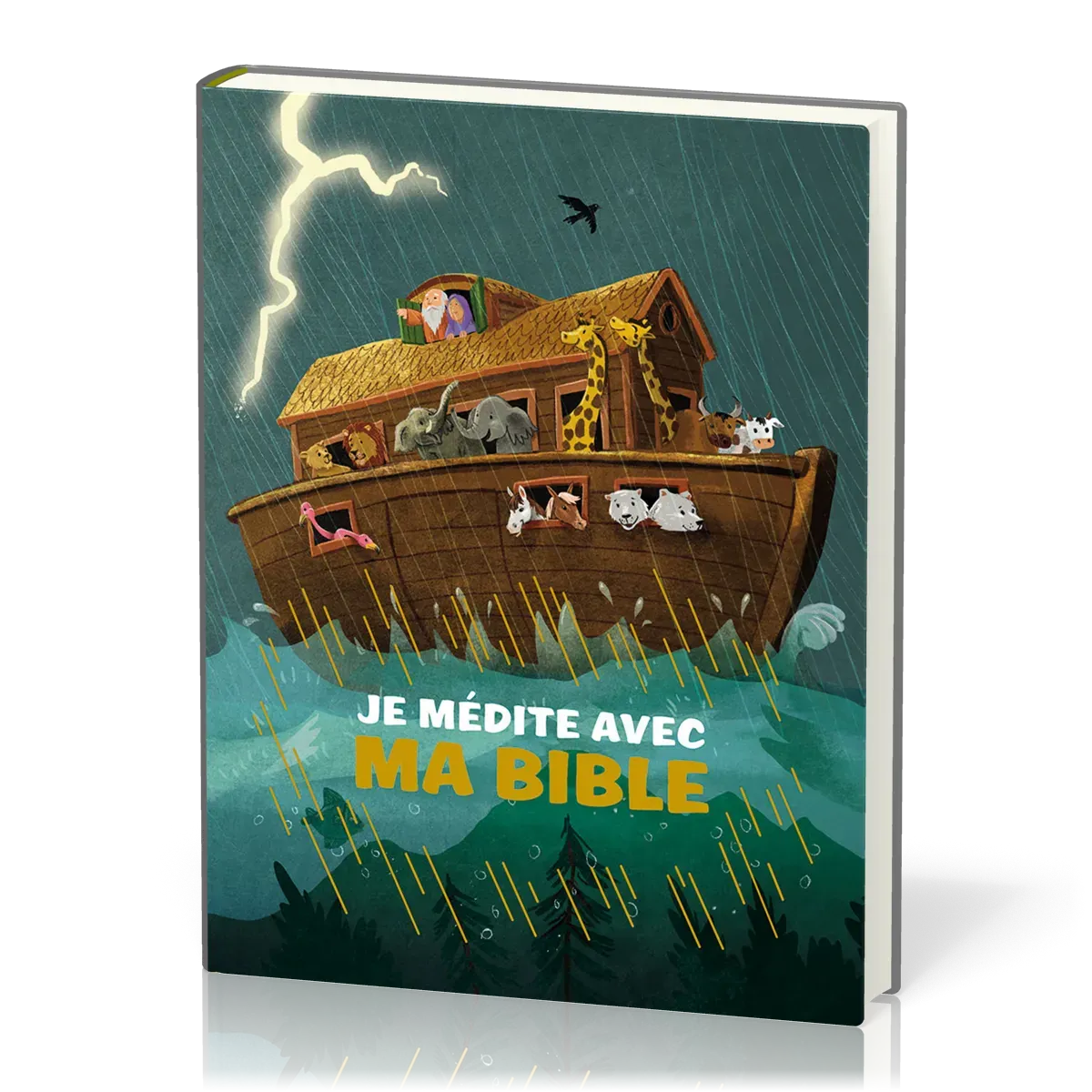 JE MEDITE AVEC MA BIBLE