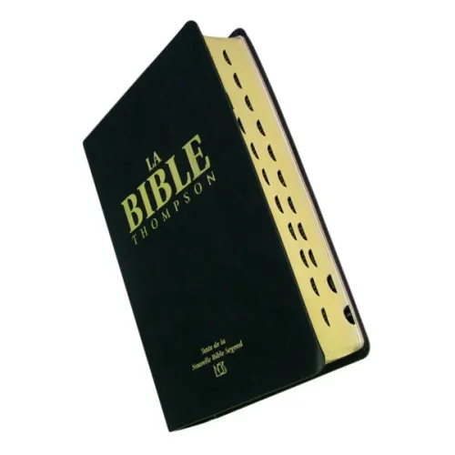 BIBLE NBS THOMPSON, SOUPLE VINYL NOIR, TR. OR, ONGLETS