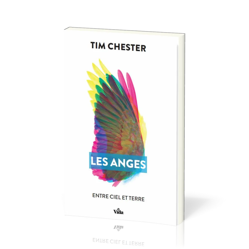 ANGES (LES) - ENTRE CIEL ET TERRE