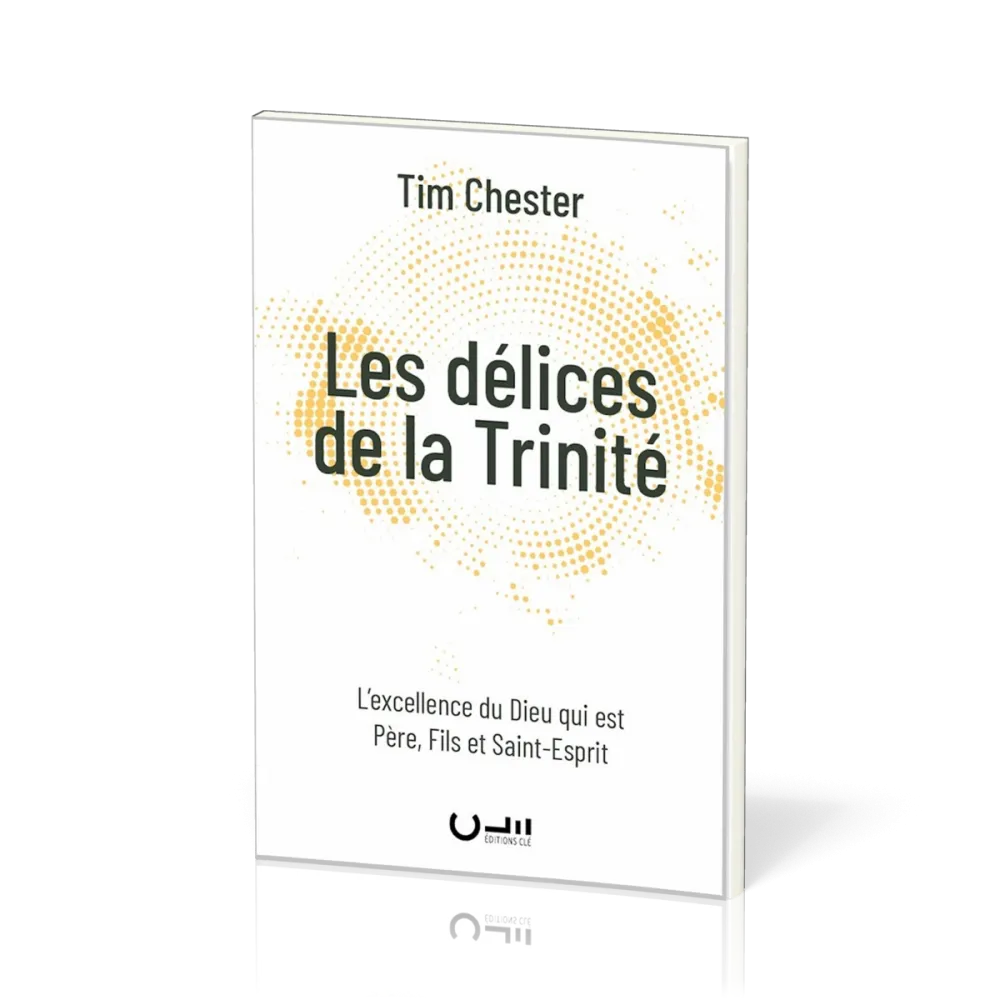DELICES DE LA TRINITE (LES) - L'EXCELLENCE DU DIEU QUI EST PERE, FILS ET SAINT-ESPRIT