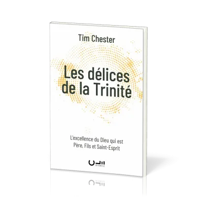 DELICES DE LA TRINITE (LES) - L'EXCELLENCE DU DIEU QUI EST PERE, FILS ET SAINT-ESPRIT