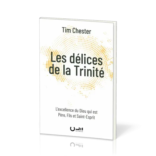 DELICES DE LA TRINITE (LES) - L'EXCELLENCE DU DIEU QUI EST PERE, FILS ET SAINT-ESPRIT