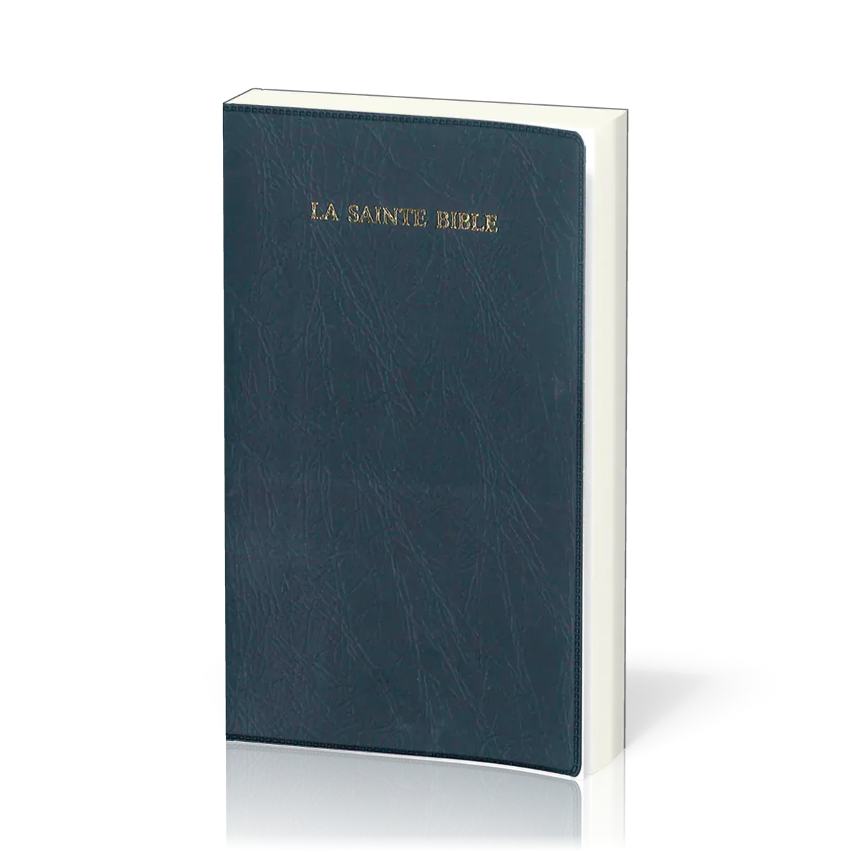 BIBLE SEGOND 1910 ONGLETS VINYLE MARINE AVEC REFERENCE