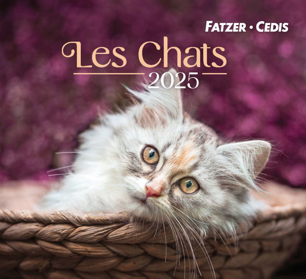 CAL CED NOS AMIS LES CHATS