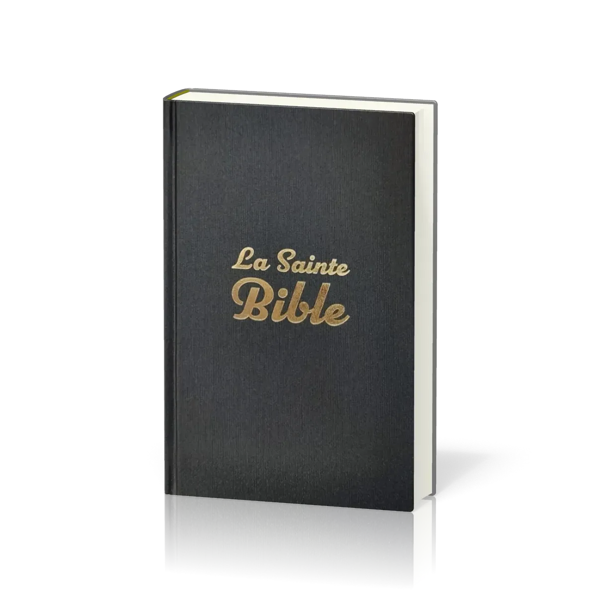 BIBLE SEGOND 1910 COMPACTE RIGIDE GRIS ANTHRACITE