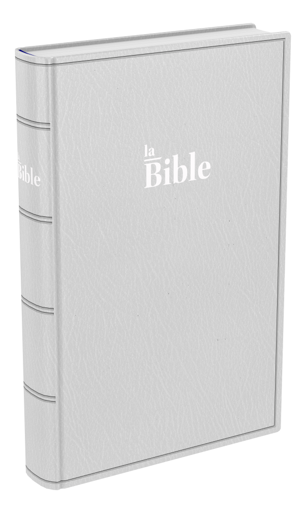 BIBLE DARBY STANDARD SOUPLE GRIS