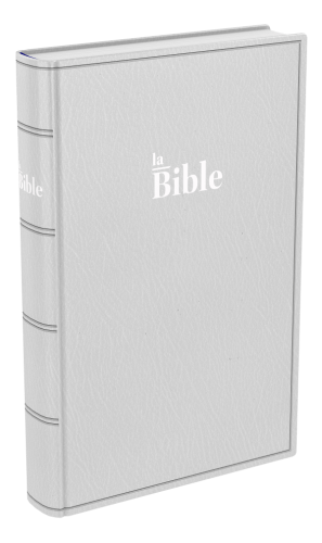 BIBLE DARBY STANDARD SOUPLE GRIS