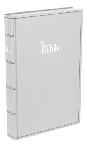 BIBLE DARBY STANDARD SOUPLE GRIS