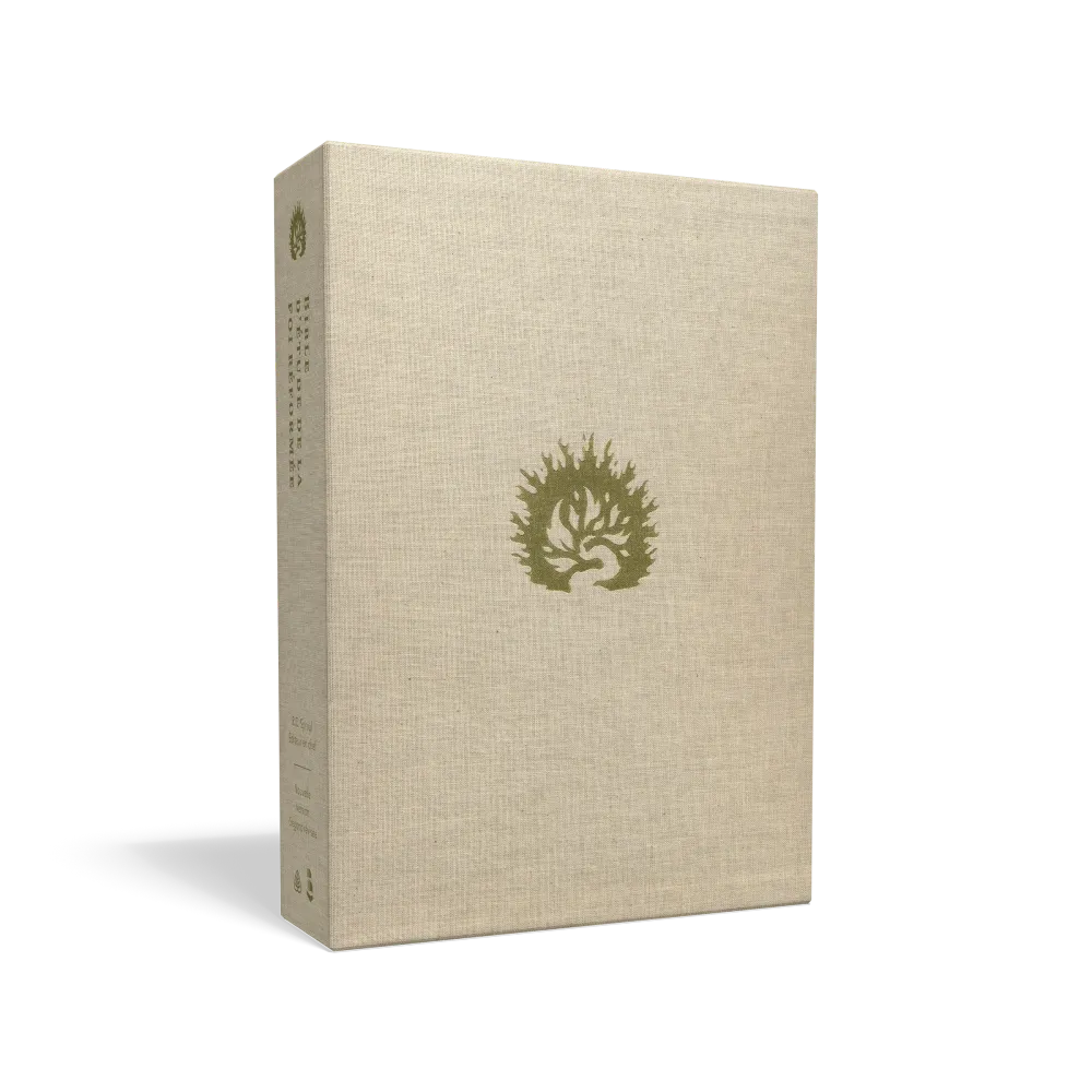 BIBLE COLOMBE ETUDE DE LA FOI REFORMEE SIMILI CUIR SOUPLE BLANCHE TANCHE OR SIGNET