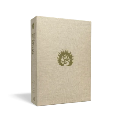 BIBLE COLOMBE ETUDE DE LA FOI REFORMEE SIMILI CUIR SOUPLE BLANCHE TANCHE OR SIGNET