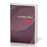 BIBLE SEGOND 1910 SOUPLE SIMILICUIR BRUN - ONGLETS