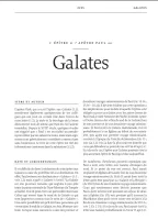 BIBLE COLOMBE ETUDE DE LA FOI REFORMEE SIMILI CUIR SOUPLE BLANCHE TANCHE OR SIGNET