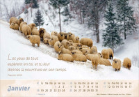 CAL EPT BON BERGER
