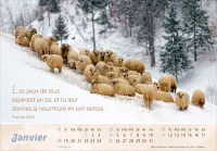CAL EPT BON BERGER