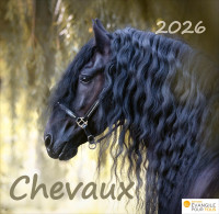 CAL EPT MERVEILLES CHEVAUX