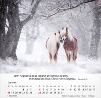 CAL EPT MERVEILLES CHEVAUX