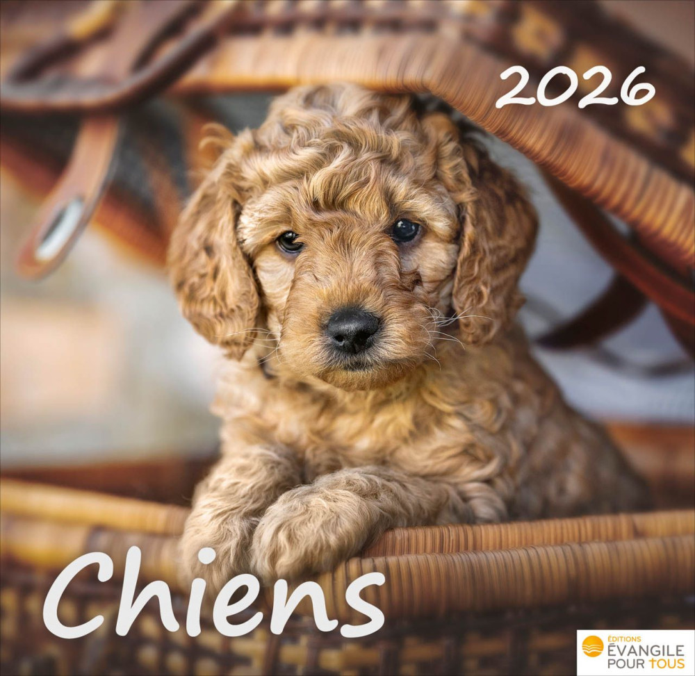 CAL EPT CHIENS