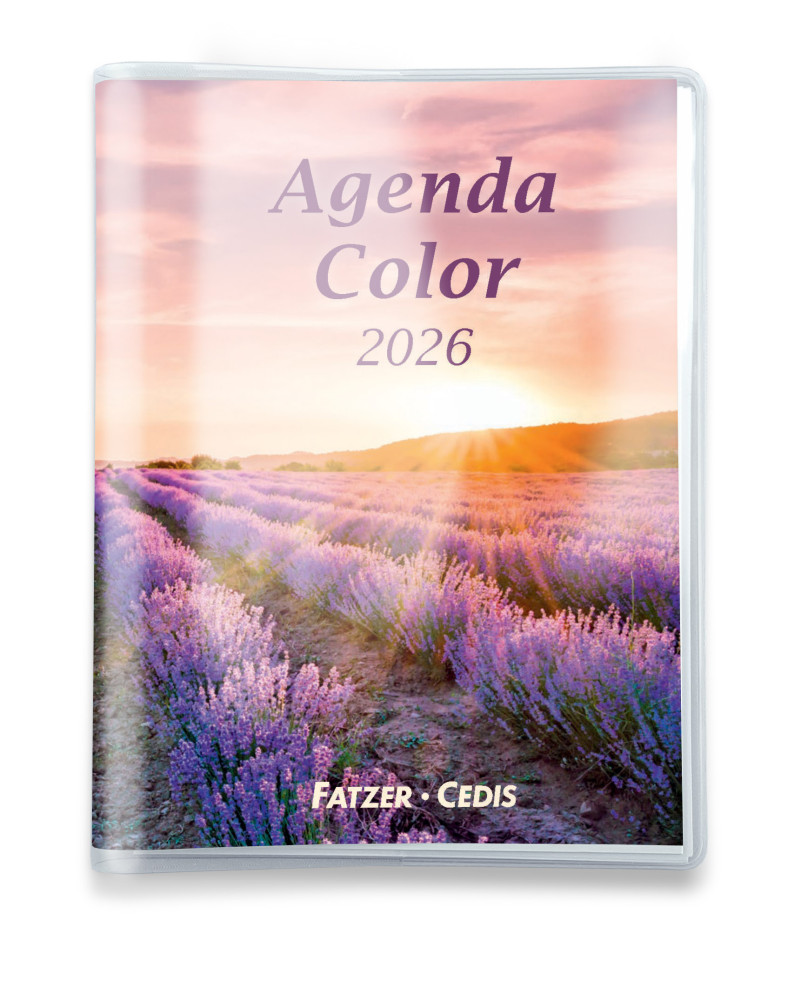CAL CED AGENDA COLOR