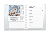 CAL CED AGENDA COLOR