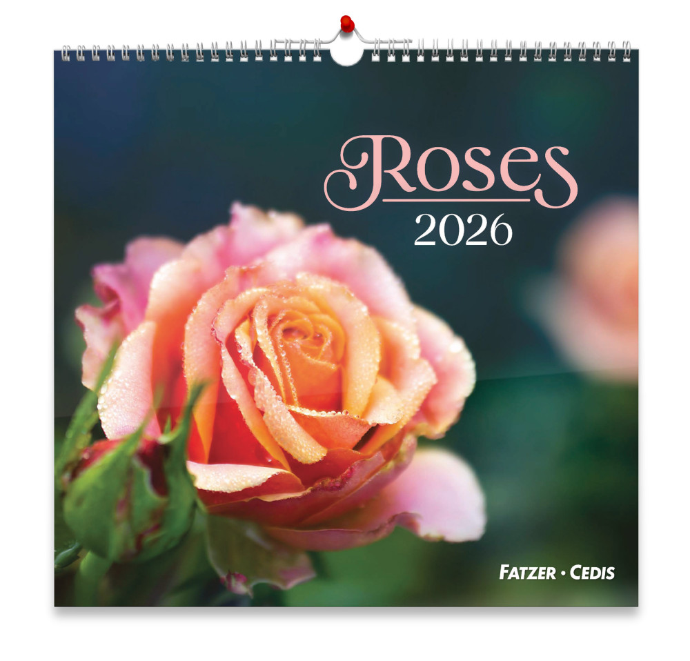 CAL CED ROSES GRAND FORMAT