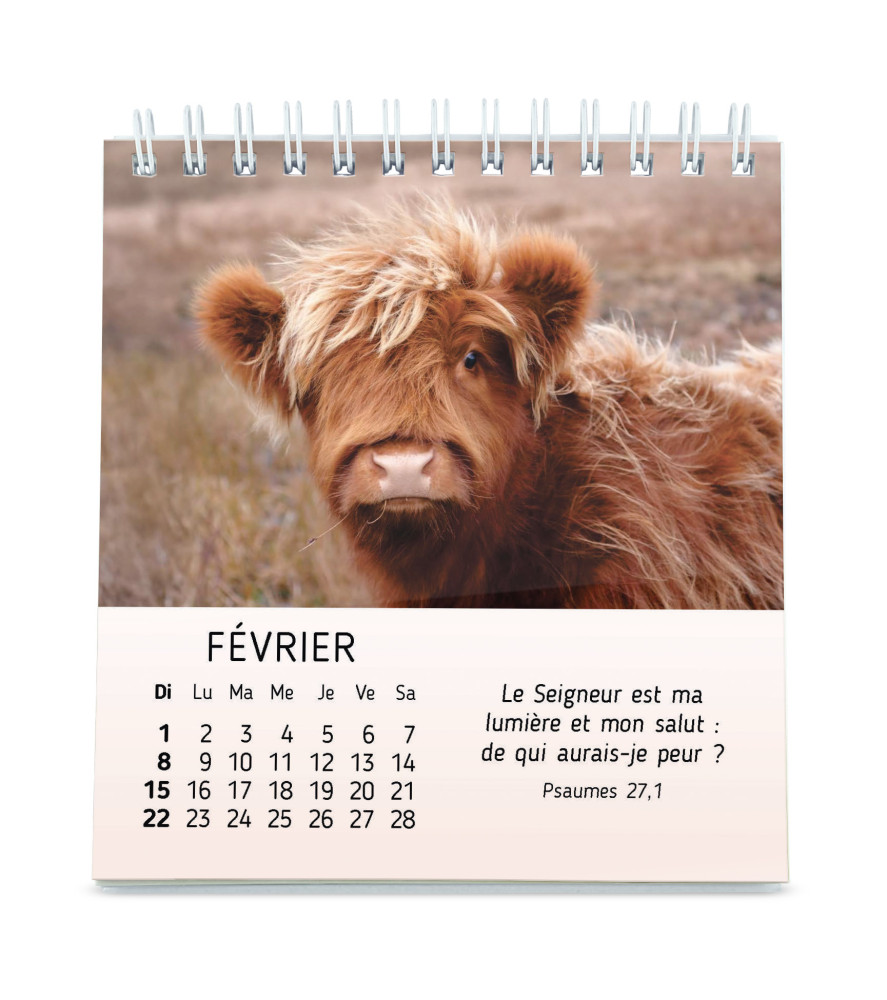CAL CED MES PETITS AMIS AVEC TEXTES BIBLIQUES