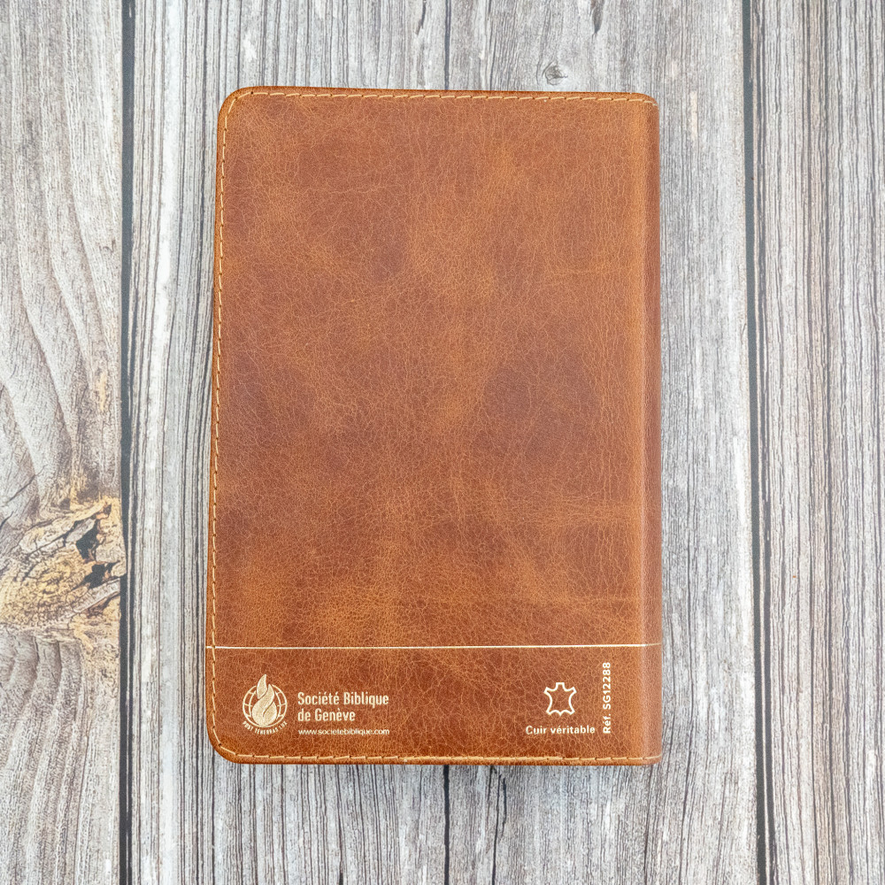 BIBLE SEGOND 21 COMPACTE "PREMIUM STYLE" SEMI-RIGIDE CUIR BRUN AVEC TRANCHES DOREES BIBLE SEGOND 21 COMPACTE "PREMIUM STYLE" SEMI-RIGIDE CUIR BRUN AVEC TRANCHES DOREES