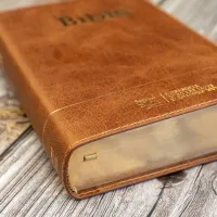 BIBLE SEGOND 21 COMPACTE "PREMIUM STYLE" SEMI-RIGIDE CUIR BRUN AVEC TRANCHES DOREES