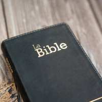 BIBLE SEGOND 21 COMPACTE "PREMIUM STYLE" SEMI-RIGIDE CUIR ANTHRACITE AVEC TRANCHES DOREES BIBLE SEGOND 21 COMPACTE "PREMIUM STYLE" SEMI-RIGIDE CUIR ANTHRACITE AVEC TRANCHES DOREES