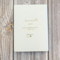 BIBLE SEGOND 21 JOURNAL DE BORD SOUPLE TOILEE BLANC MOTIFS DORES