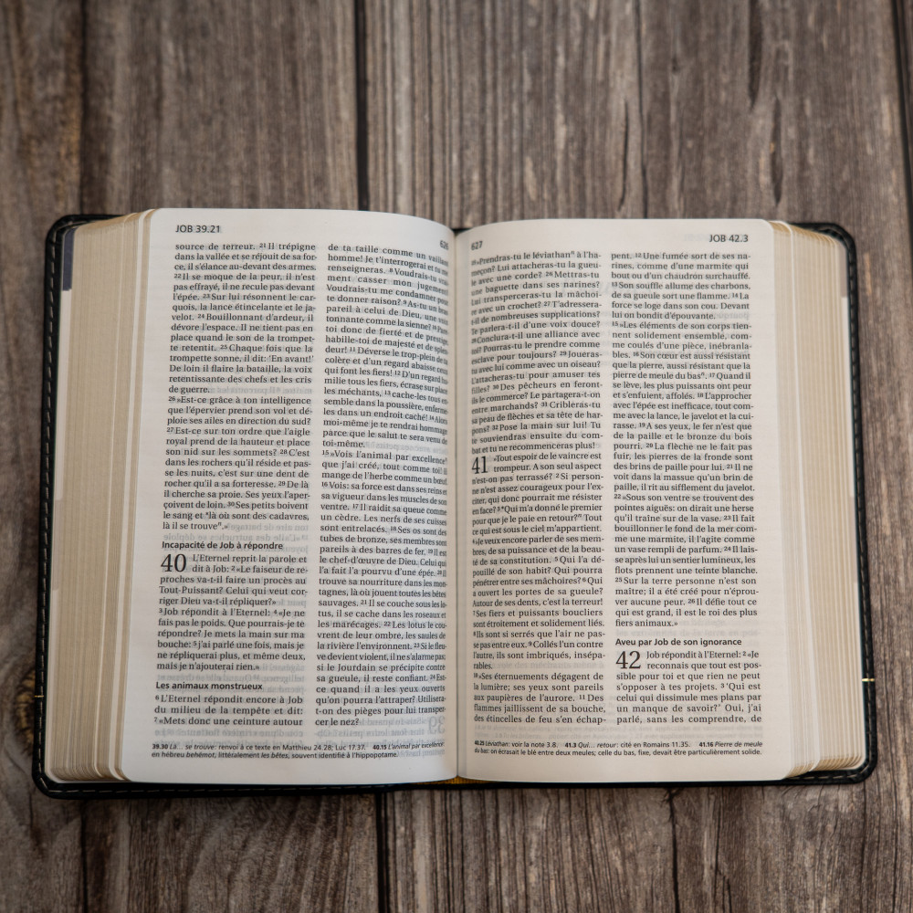 BIBLE SEGOND 21 COMPACTE "PREMIUM STYLE" SEMI-RIGIDE CUIR ANTHRACITE AVEC TRANCHES DOREES BIBLE SEGOND 21 COMPACTE "PREMIUM STYLE" SEMI-RIGIDE CUIR ANTHRACITE AVEC TRANCHES DOREES