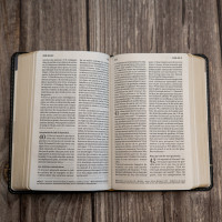 BIBLE SEGOND 21 COMPACTE "PREMIUM STYLE" SEMI-RIGIDE CUIR ANTHRACITE AVEC TRANCHES DOREES BIBLE SEGOND 21 COMPACTE "PREMIUM STYLE" SEMI-RIGIDE CUIR ANTHRACITE AVEC TRANCHES DOREES
