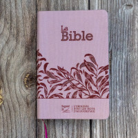 BIBLE SEGOND 21 COMPACTE "PREMIUM STYLE" SOUPLE TOILE ROSE AVEC ONGLETS BIBLE SEGOND 21 COMPACTE "PREMIUM STYLE" SOUPLE TOILE ROSE AVEC ONGLETS