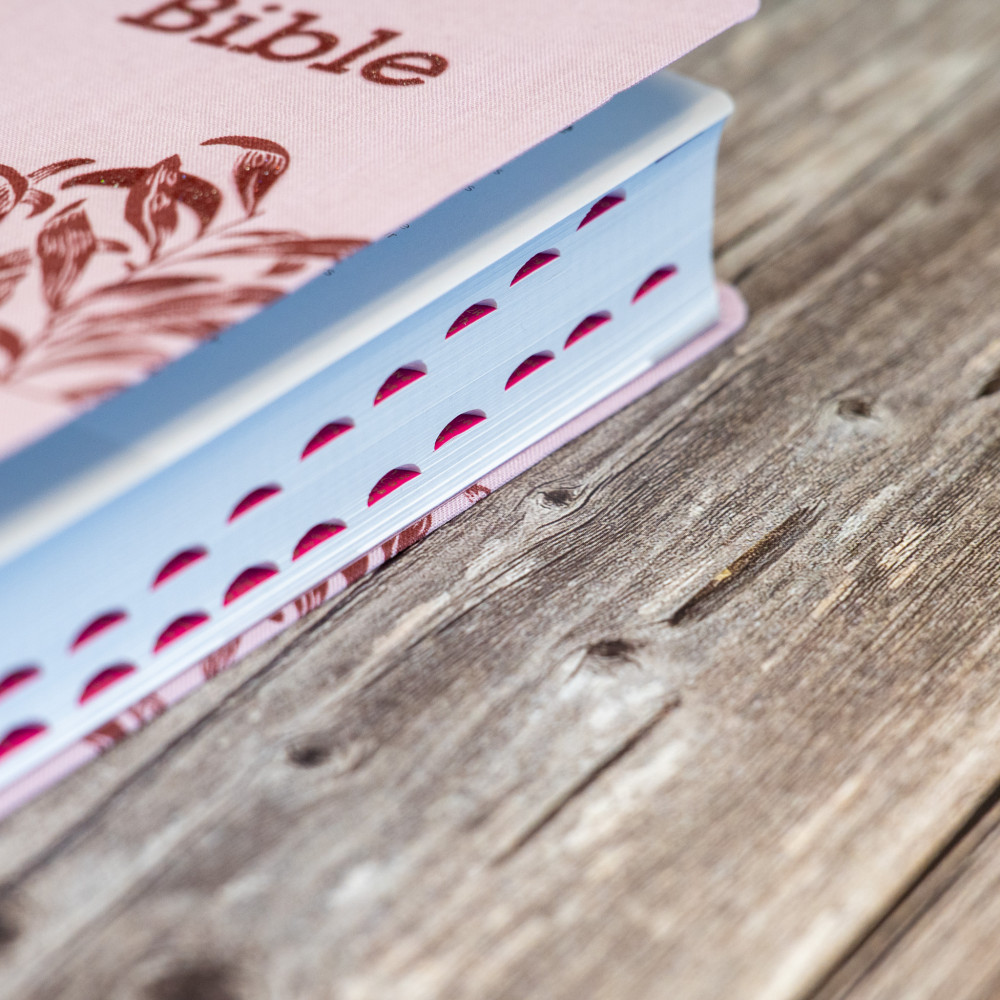 BIBLE SEGOND 21 COMPACTE "PREMIUM STYLE" SOUPLE TOILE ROSE AVEC ONGLETS BIBLE SEGOND 21 COMPACTE "PREMIUM STYLE" SOUPLE TOILE ROSE AVEC ONGLETS