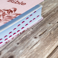 BIBLE SEGOND 21 COMPACTE "PREMIUM STYLE" SOUPLE TOILE ROSE AVEC ONGLETS BIBLE SEGOND 21 COMPACTE "PREMIUM STYLE" SOUPLE TOILE ROSE AVEC ONGLETS