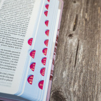 BIBLE SEGOND 21 COMPACTE "PREMIUM STYLE" SOUPLE TOILE ROSE AVEC ONGLETS BIBLE SEGOND 21 COMPACTE "PREMIUM STYLE" SOUPLE TOILE ROSE AVEC ONGLETS
