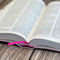 BIBLE SEGOND 21 COMPACTE "PREMIUM STYLE" SOUPLE TOILE ROSE AVEC ONGLETS BIBLE SEGOND 21 COMPACTE "PREMIUM STYLE" SOUPLE TOILE ROSE AVEC ONGLETS