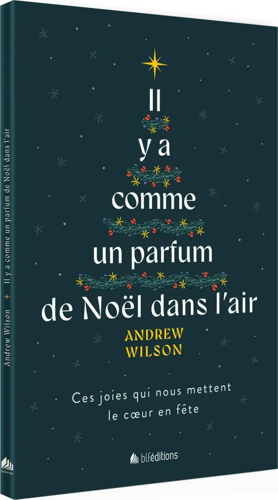 IL Y A COMME UN PARFUM DE NOEL DANS L'AIR - CES JOIES QUI NOUS METTENT LE COEUR EN FETE