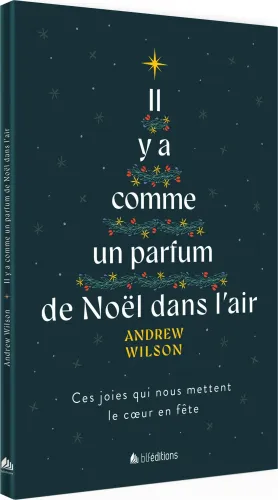 IL Y A COMME UN PARFUM DE NOEL DANS L'AIR - CES JOIES QUI NOUS METTENT LE COEUR EN FETE