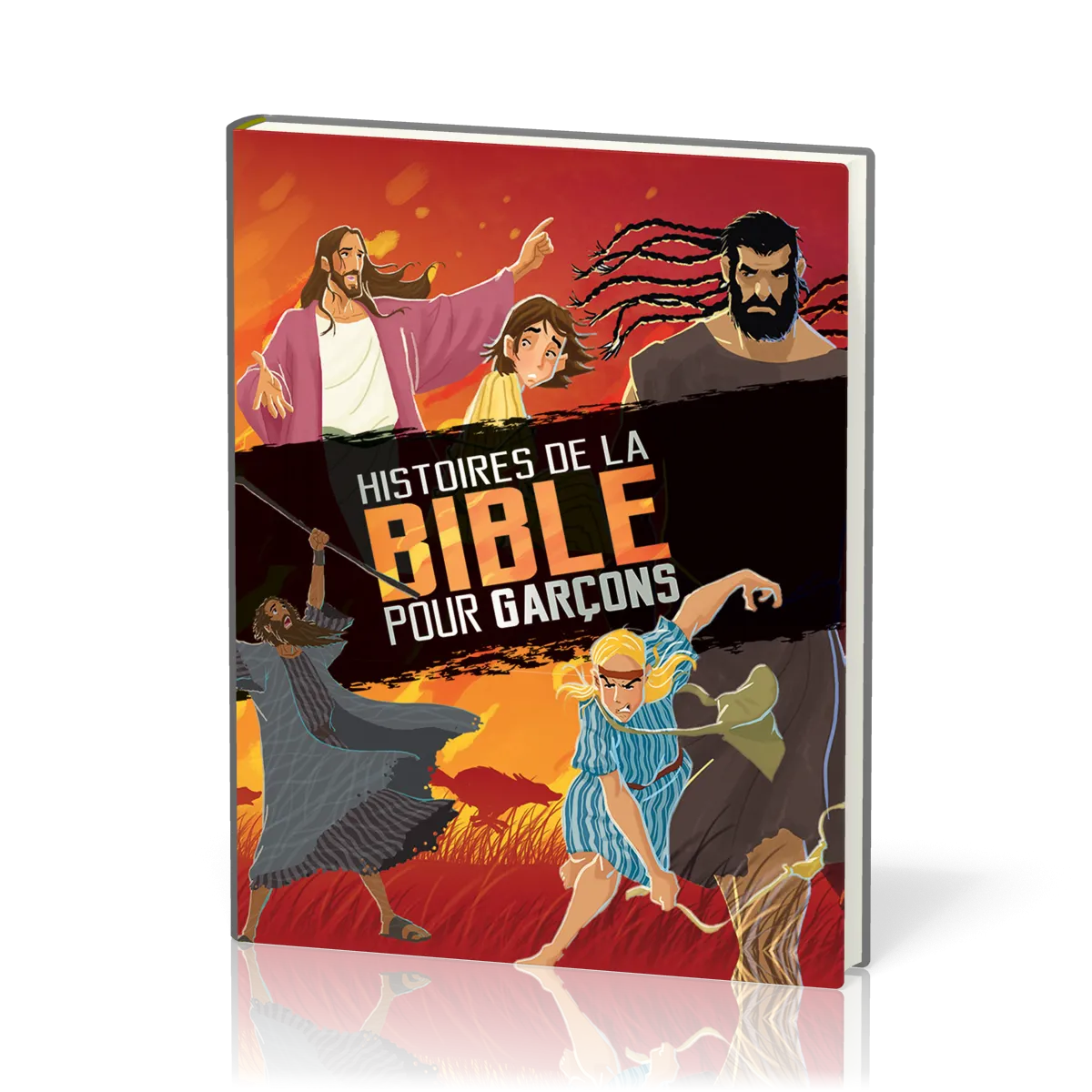 HISTOIRES DE LA BIBLE POUR GARCONS