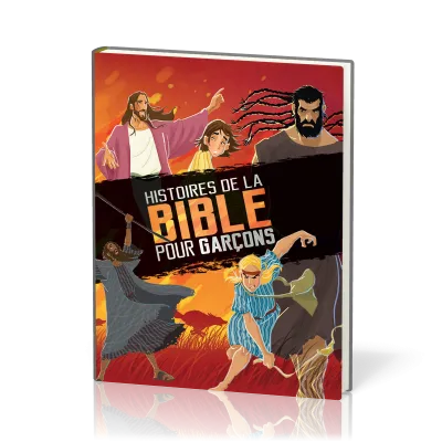 HISTOIRES DE LA BIBLE POUR GARCONS