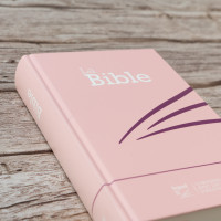 BIBLE SEGOND 21 COMPACTE ROSE