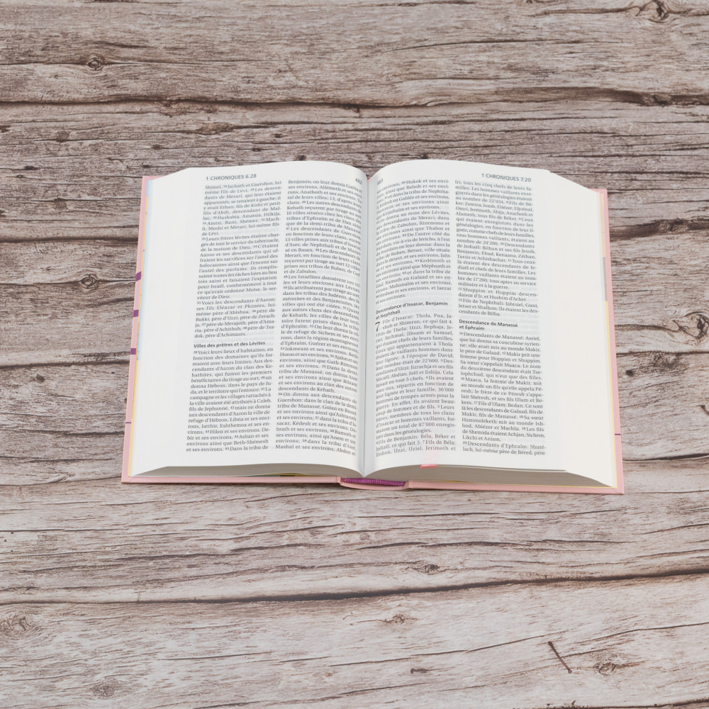 BIBLE SEGOND 21 COMPACTE ROSE