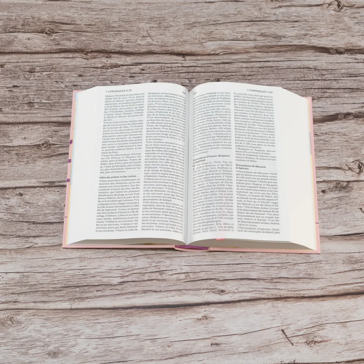 BIBLE SEGOND 21 COMPACTE ROSE