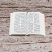 BIBLE SEGOND 21 COMPACTE ROSE