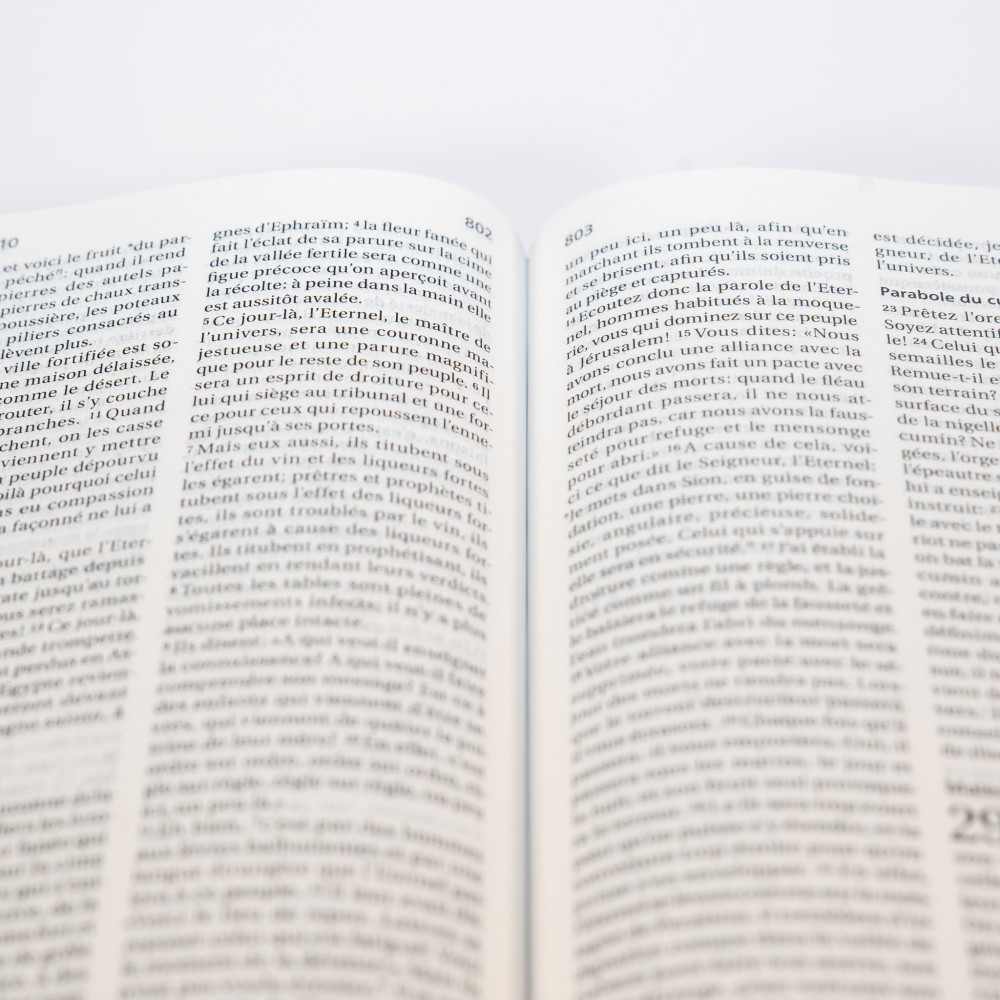 BIBLE SEGOND 21 COMPACTE "PREMIUM STYLE" SEMI-RIGIDE CUIR ANTHRACITE AVEC TRANCHES DOREES