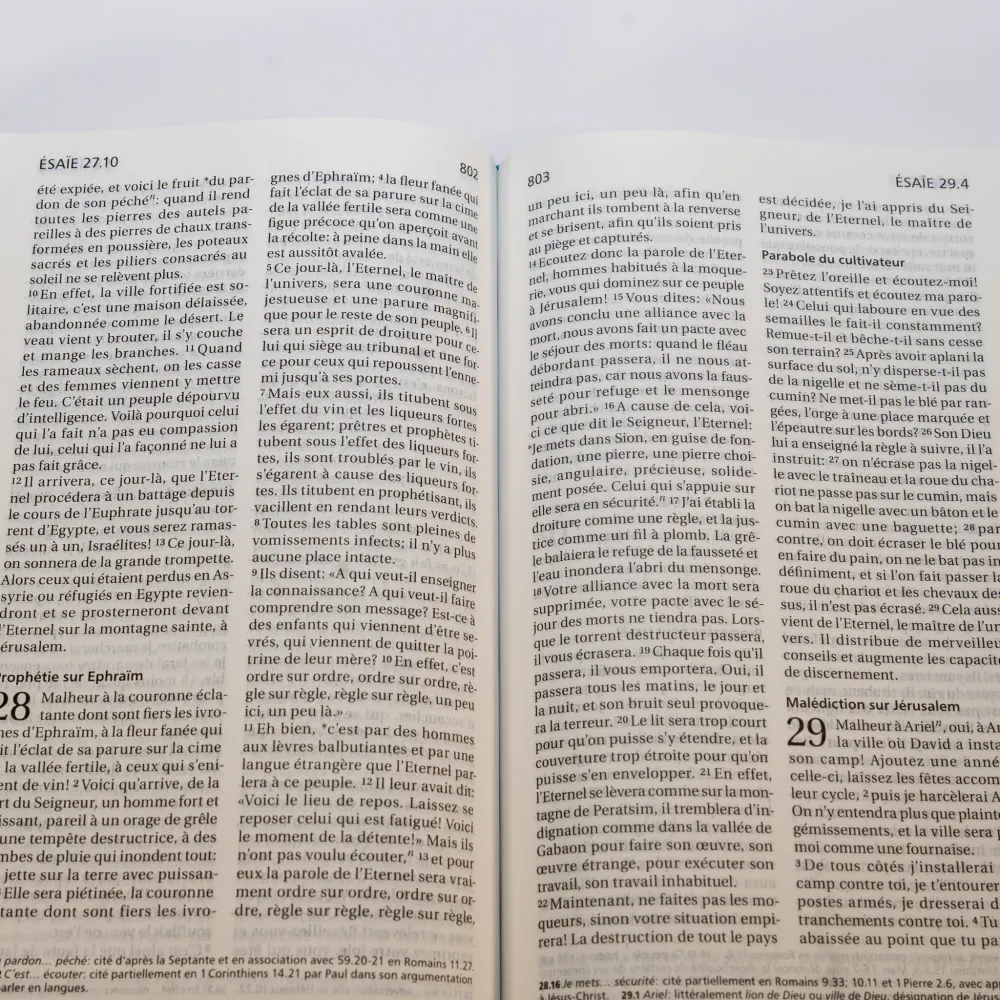 BIBLE SEGOND 21 COMPACTE RIGIDE BLEU