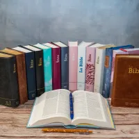 BIBLE SEGOND 21 COMPACTE "PREMIUM STYLE" DUO CUIR PRALINE CHOCOLAT - SEMI RIGIDE TRANCHES DOREES